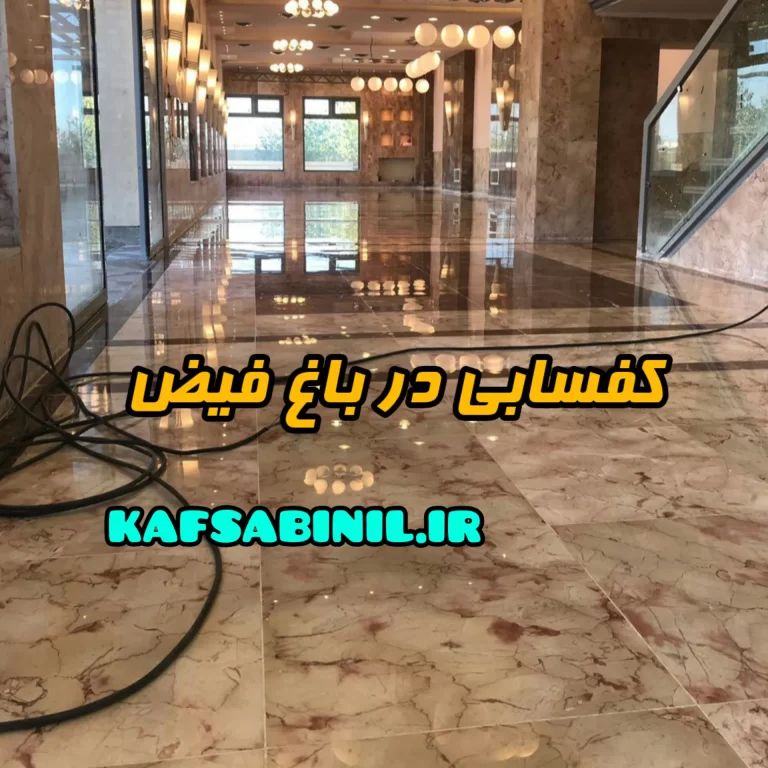 کفسابی در باغ فیض