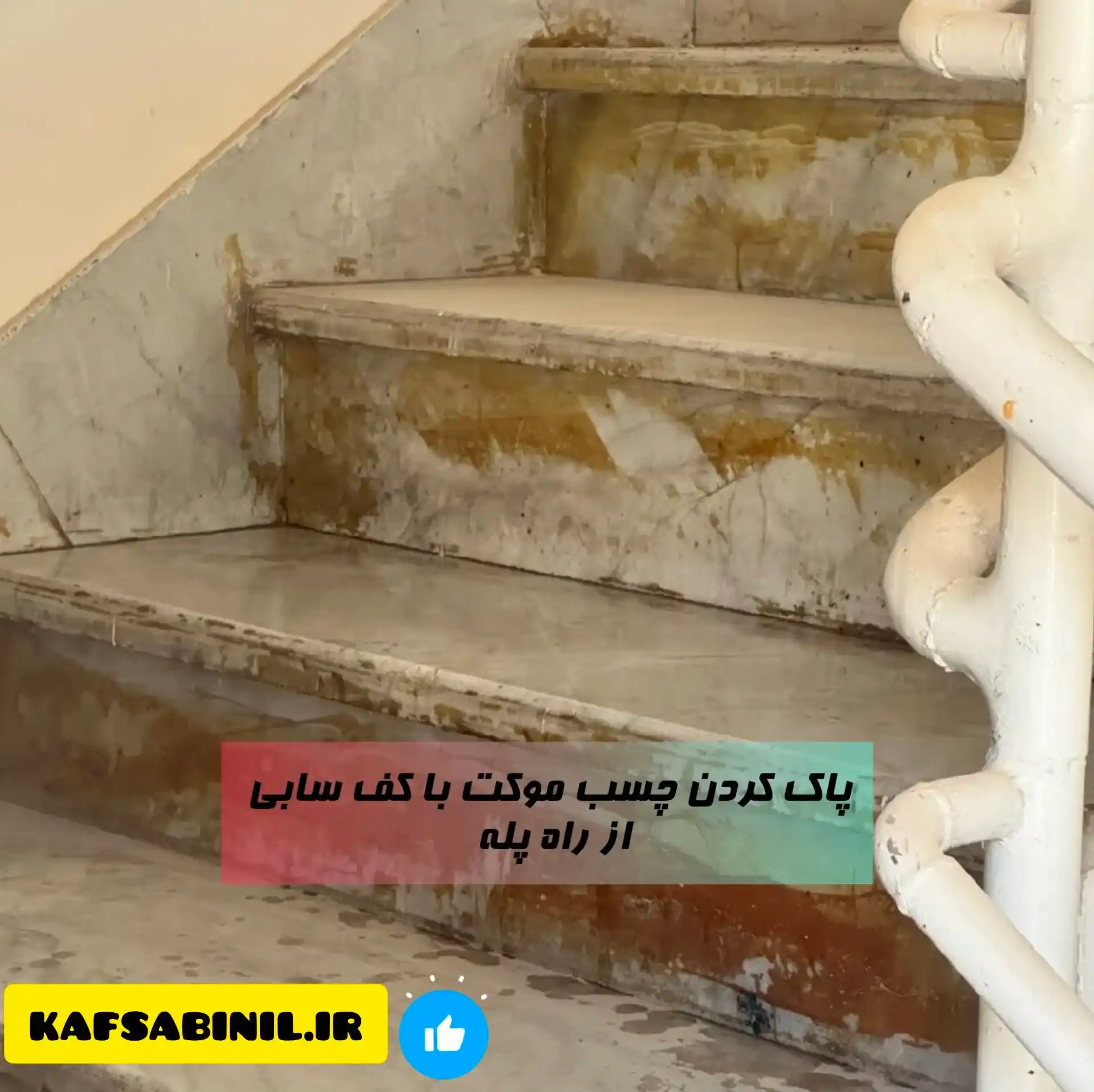 پاک کردن چسب موکت با کف سابی