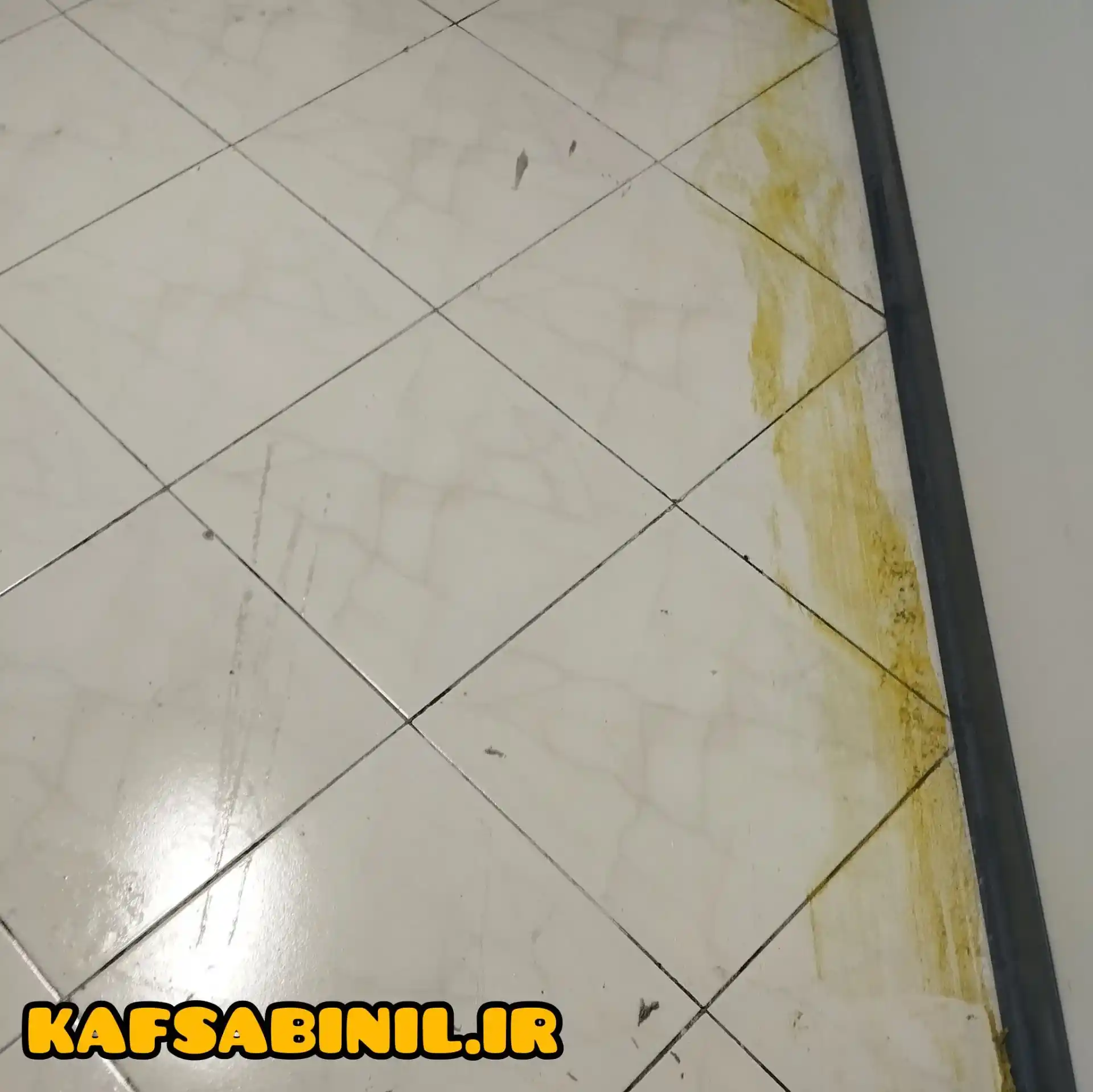 کفساب در تهران
